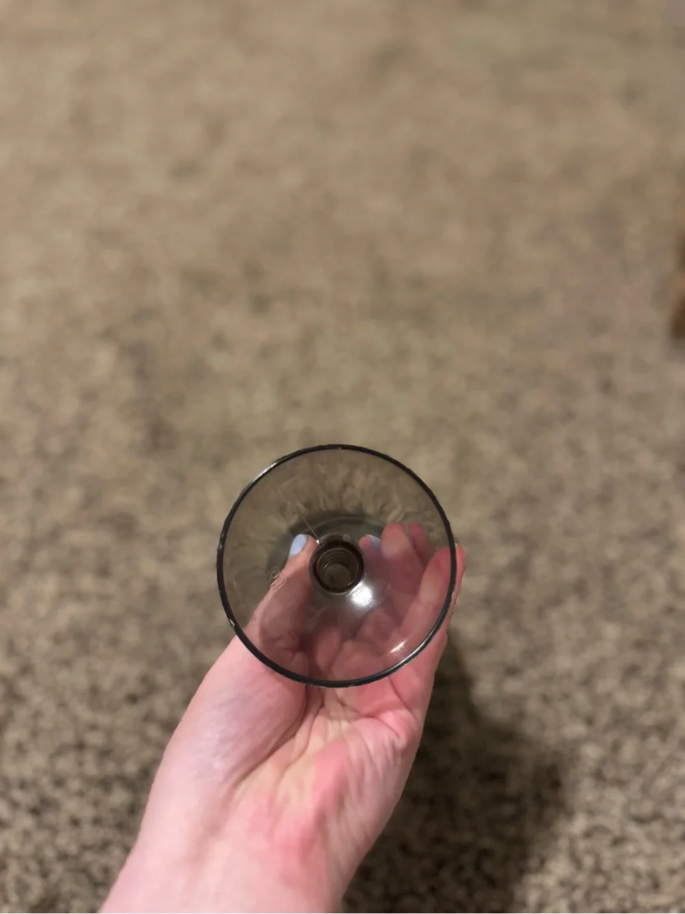 Smoky Glass Skull Goblet - Dark Gray